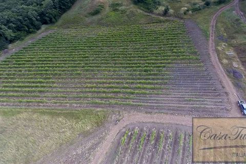 Villa a Lajatico, Pisa, Lajatico - € 1.800.000 | Ref: v4793v-x - foto 3
