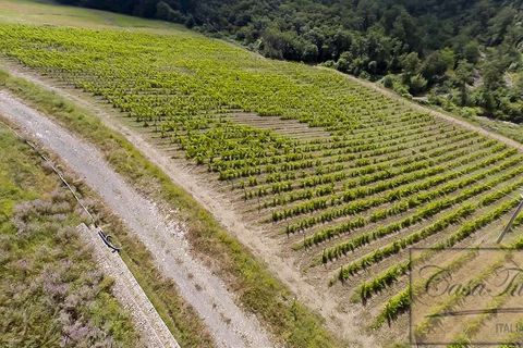 Villa a Lajatico, Pisa, Lajatico - € 1.800.000 | Ref: v4793v-x - foto 4