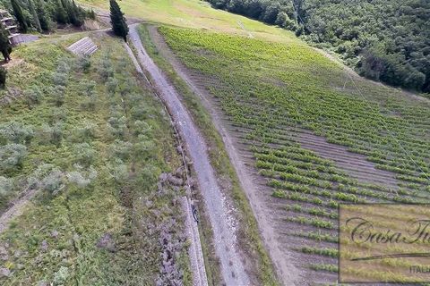 Villa a Lajatico, Pisa, Lajatico - € 1.800.000 | Ref: v4793v-x - foto 5
