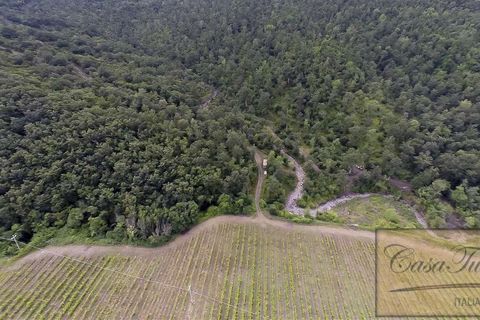 Villa a Lajatico, Pisa, Lajatico - € 1.800.000 | Ref: v4793v-x - foto 6