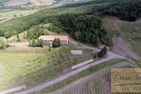 Villa a Lajatico, Pisa, Lajatico - € 1.800.000 | Ref: v4793v-x - foto 7