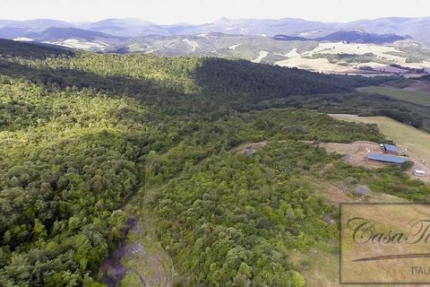 Villa a Lajatico, Pisa, Lajatico - € 1.800.000 | Ref: v4793v-x - foto 43