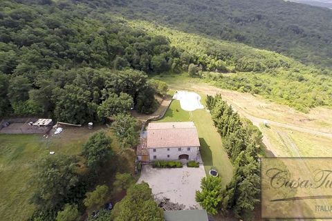 Villa a Lajatico, Pisa, Lajatico - € 1.800.000 | Ref: v4793v-x - foto 47