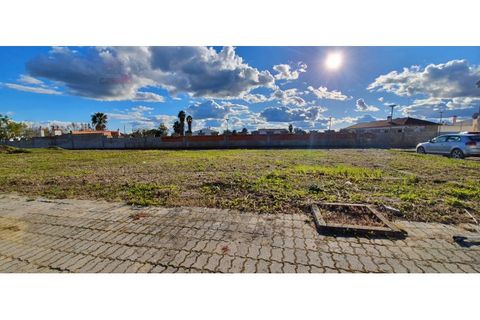 Helårsgrund i Sao Pedro do Corval, Evora, Sao Pedro do Corval - € 58.440 | Ref: SÒL_1389 - foto 2