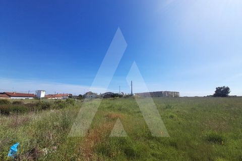 Helårsgrund i Aveiro, Aveiro, Aveiro - € 595.000 | Ref: 1011425/22 GL - foto 3