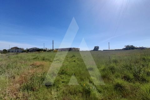 Helårsgrund i Aveiro, Aveiro, Aveiro - € 595.000 | Ref: 1011425/22 GL - foto 7
