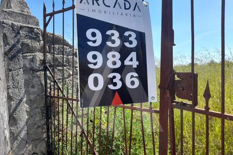 Helårsgrund i Aveiro, Aveiro, Aveiro - € 595.000 | Ref: 1011425/22 GL - foto 12