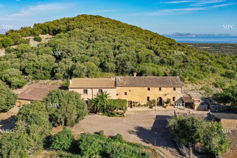 Landejendom i Arta, Mallorca, Arta - € 7.800.000 | Ref: 77307Q - foto 16