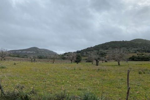 Helårsgrund i Manacor, Mallorca - foto 2