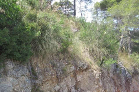 Helårsgrund i Capdepera, Mallorca, Capdepera - € 170.000 | Ref: 35710G - foto 8