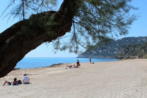 Helårsgrund i Capdepera, Mallorca, Capdepera - € 170.000 | Ref: 35710G - foto 14