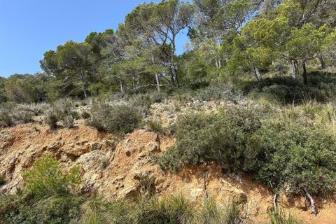 Helårsgrund i Capdepera, Mallorca, Capdepera - € 170.000 | Ref: 35710G - foto 11