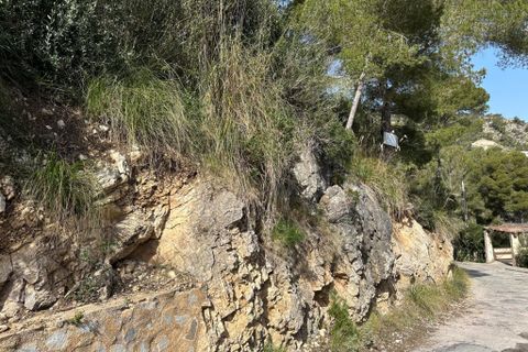 Helårsgrund i Capdepera, Mallorca, Capdepera - € 170.000 | Ref: 35710G - foto 12