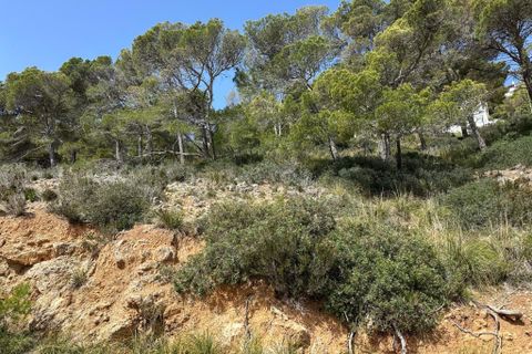 Helårsgrund i Capdepera, Mallorca, Capdepera - € 170.000 | Ref: 35710G - foto 13