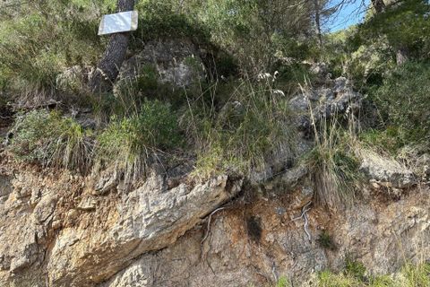 Helårsgrund i Capdepera, Mallorca, Capdepera - € 170.000 | Ref: 35710G - foto 15