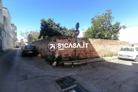 Terra a Galatone, Lecce, Galatone - € 62.000 | Ref: UVU-1151 - foto 3