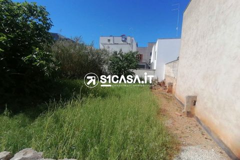 Terra a Galatone, Lecce, Galatone - € 62.000 | Ref: UVU-1151 - foto 5