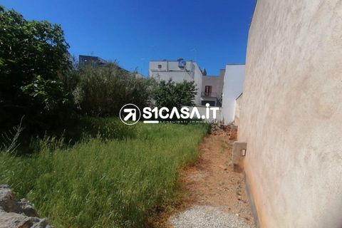 Terra a Galatone, Lecce, Galatone - € 62.000 | Ref: UVU-1151 - foto 6