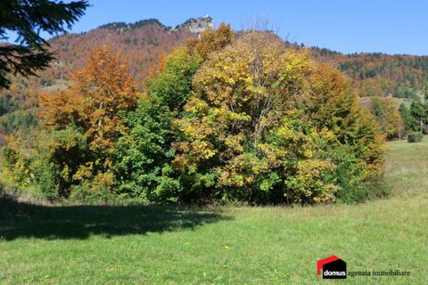 Helårsgrund i Tonezza del Cimone, Vicenza, Tonezza del Cimone - € 75.000 | Ref: A013 - foto 3