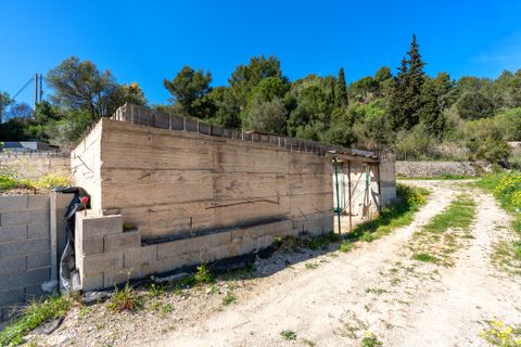 Terra a Galilea, Mallorca, Galilea - € 265.000 | Ref: 69094 - foto 9