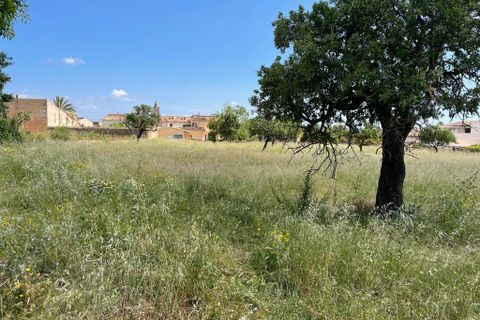 Helårsgrund i Consell, Mallorca, Consell - € 1.275.000 | Ref: 74272 - foto 1