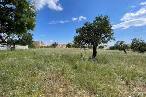 Helårsgrund i Consell, Mallorca, Consell - € 1.275.000 | Ref: 74272 - foto 2