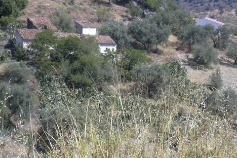 Landejendom i Comares, Malaga, Comares - € 255.000 | Ref: ID3986 - foto 8