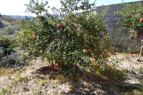 Landejendom i Comares, Malaga, Comares - € 255.000 | Ref: ID3986 - foto 36