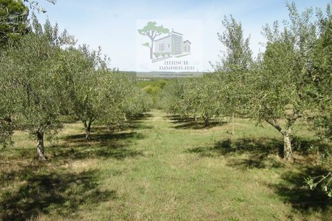Landejendom i Narbonne, Aude, Narbonne - € 875.000 | Ref: 1177 - foto 10