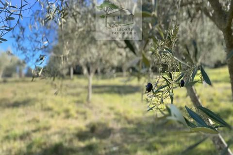 Landejendom i Narbonne, Aude, Narbonne - € 875.000 | Ref: 1177 - foto 37