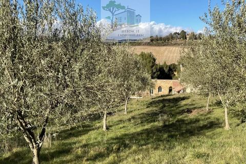 Landejendom i Narbonne, Aude, Narbonne - € 875.000 | Ref: 1177 - foto 39