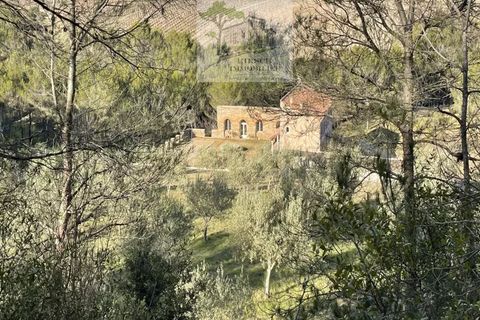 Landejendom i Narbonne, Aude, Narbonne - € 875.000 | Ref: 1177 - foto 41