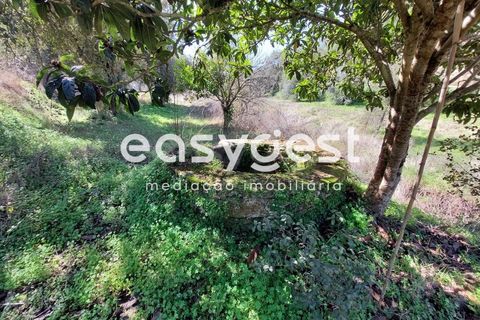 Farm hus i Odemira, Beja, Odemira - € 136.000 | Ref: BJ88192 - foto 2