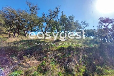 Farm hus i Odemira, Beja, Odemira - € 136.000 | Ref: BJ88192 - foto 3