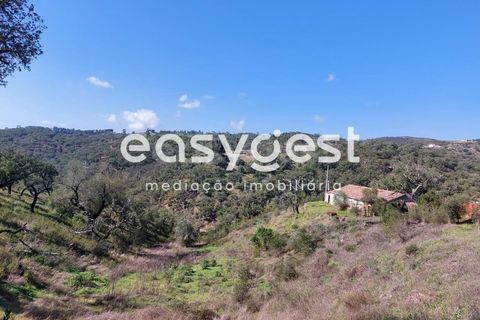 Farm hus i Odemira, Beja, Odemira - € 136.000 | Ref: BJ88192 - foto 12