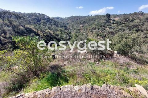 Farm hus i Odemira, Beja, Odemira - € 136.000 | Ref: BJ88192 - foto 13