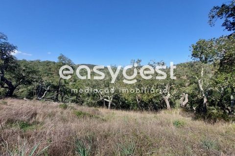 Farm hus i Odemira, Beja, Odemira - € 136.000 | Ref: BJ88192 - foto 15