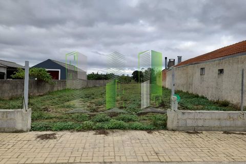 Helårsgrund i Cantanhede, Coimbra, Cantanhede - € 30.000 | Ref: CNTVS 3774 - foto 3