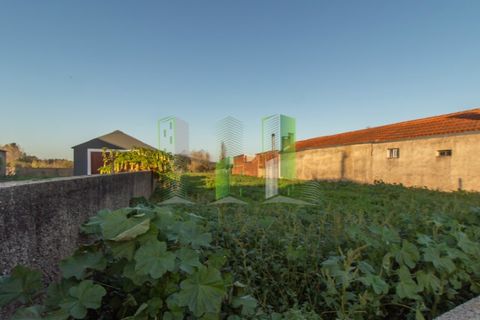 Helårsgrund i Cantanhede, Coimbra, Cantanhede - € 30.000 | Ref: CNTVS 3774 - foto 6