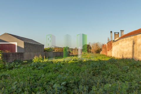 Helårsgrund i Cantanhede, Coimbra, Cantanhede - € 30.000 | Ref: CNTVS 3774 - foto 12