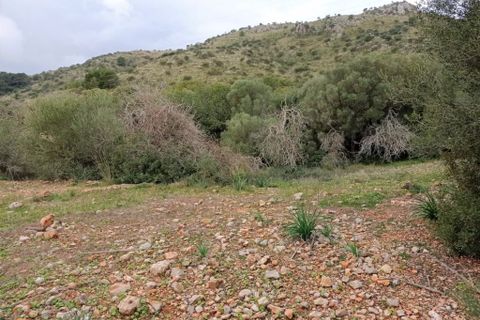 Helårsgrund i Sant Llorenc Des Cardassar, Mallorca - foto 2
