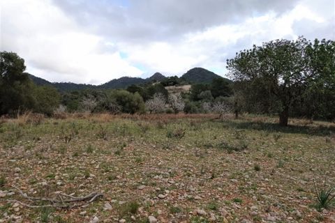 Helårsgrund i Sant Llorenc Des Cardassar, Mallorca - foto 3