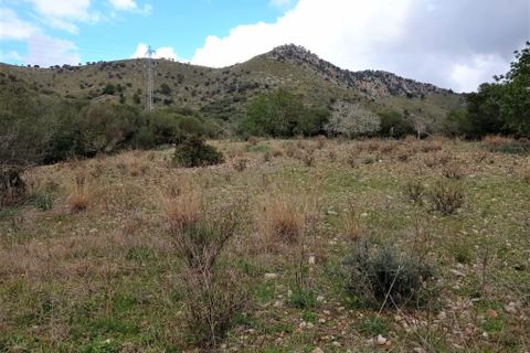 Helårsgrund i Sant Llorenc Des Cardassar, Mallorca - foto 4