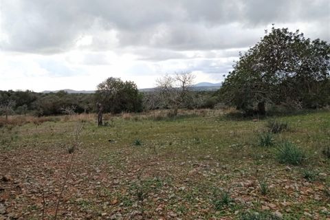 Helårsgrund i Sant Llorenc Des Cardassar, Mallorca - foto 5