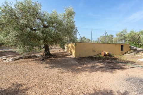 Finca i Aldover, Tarragona, Aldover - € 55.000 | Ref: 693 - foto 11