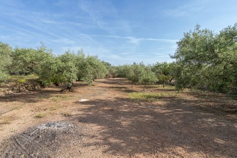 Finca i Aldover, Tarragona, Aldover - € 55.000 | Ref: 693 - foto 14