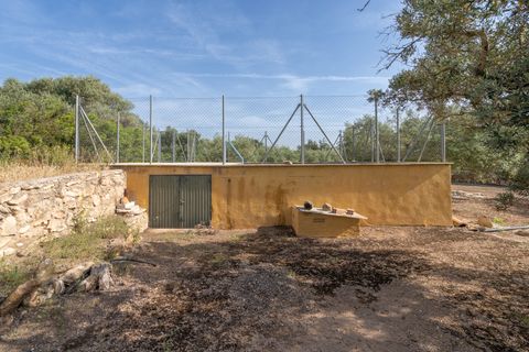 Finca i Aldover, Tarragona, Aldover - € 55.000 | Ref: 693 - foto 13