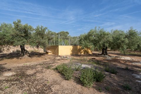 Finca i Aldover, Tarragona, Aldover - € 55.000 | Ref: 693 - foto 10