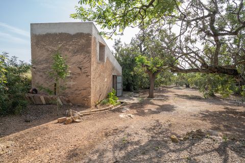 Finca i Aldover, Tarragona, Aldover - € 55.000 | Ref: 693 - foto 2