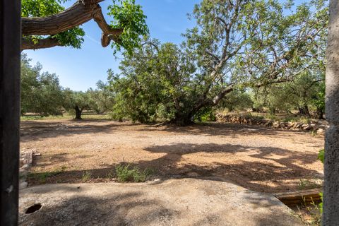 Finca i Aldover, Tarragona, Aldover - € 55.000 | Ref: 693 - foto 9